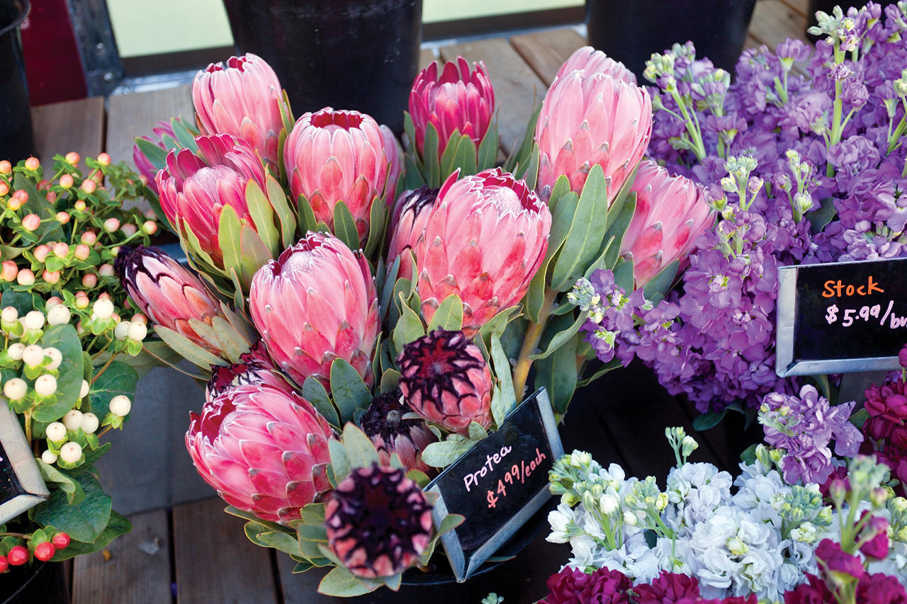 Flower Stand
